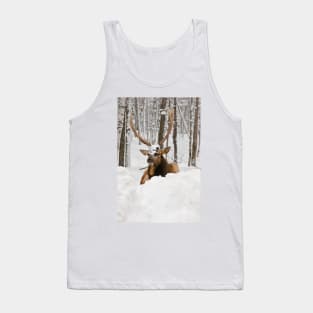 Red Deer In Snow Tank Top